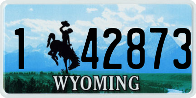 WY license plate 142873