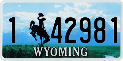 WY license plate 142981