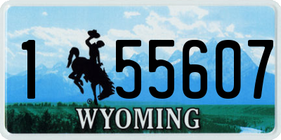 WY license plate 155607