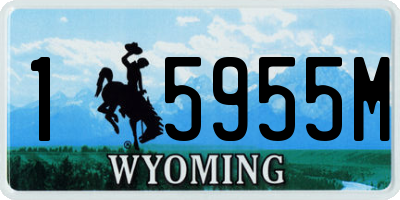 WY license plate 15955M