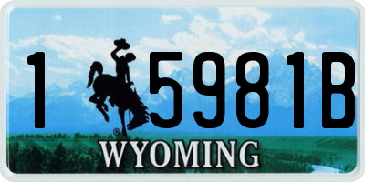 WY license plate 15981B