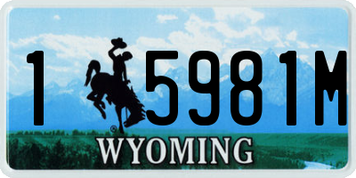 WY license plate 15981M