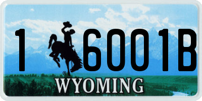 WY license plate 16001B