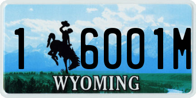 WY license plate 16001M