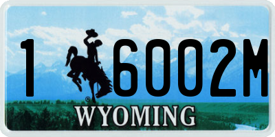 WY license plate 16002M