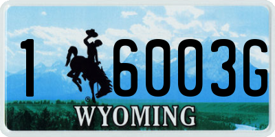 WY license plate 16003G