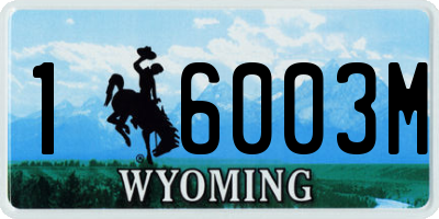 WY license plate 16003M