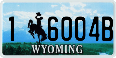 WY license plate 16004B