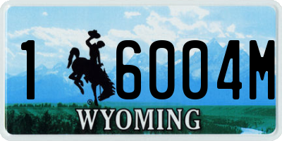 WY license plate 16004M