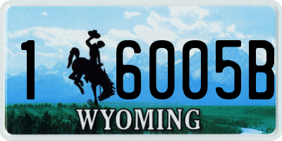 WY license plate 16005B