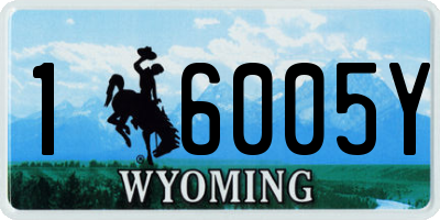 WY license plate 16005Y