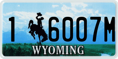 WY license plate 16007M