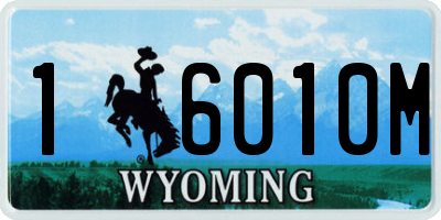 WY license plate 16010M