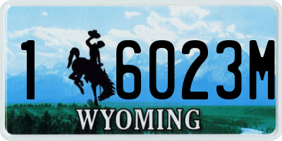 WY license plate 16023M