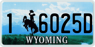 WY license plate 16025D