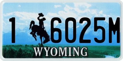 WY license plate 16025M