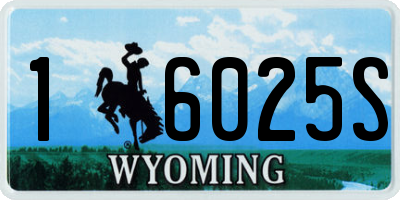 WY license plate 16025S