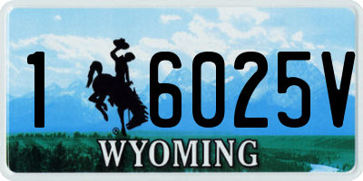 WY license plate 16025V