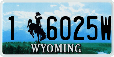 WY license plate 16025W
