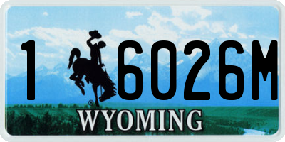 WY license plate 16026M