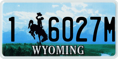 WY license plate 16027M