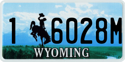 WY license plate 16028M