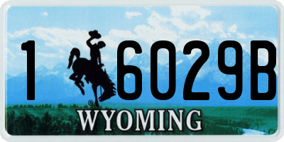 WY license plate 16029B