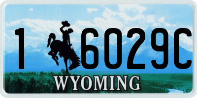 WY license plate 16029C