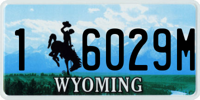 WY license plate 16029M