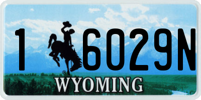 WY license plate 16029N