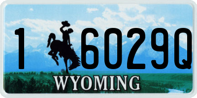 WY license plate 16029Q