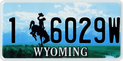 WY license plate 16029W