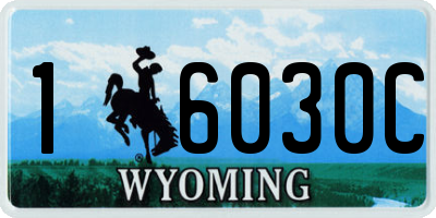 WY license plate 16030C