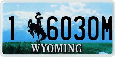 WY license plate 16030M
