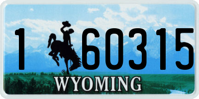 WY license plate 160315