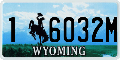 WY license plate 16032M