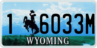 WY license plate 16033M