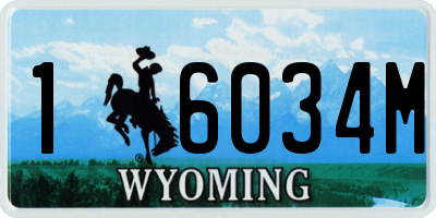 WY license plate 16034M