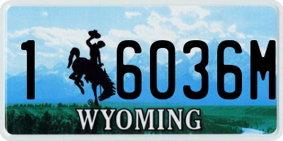 WY license plate 16036M