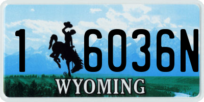 WY license plate 16036N