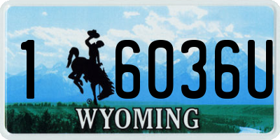 WY license plate 16036U