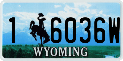 WY license plate 16036W