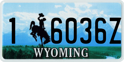 WY license plate 16036Z
