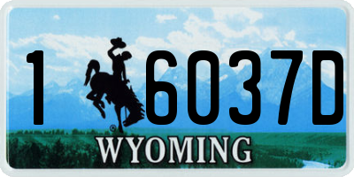 WY license plate 16037D