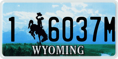 WY license plate 16037M