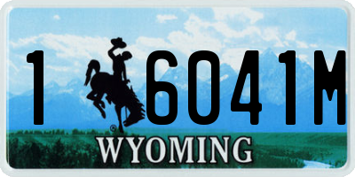 WY license plate 16041M