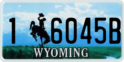 WY license plate 16045B