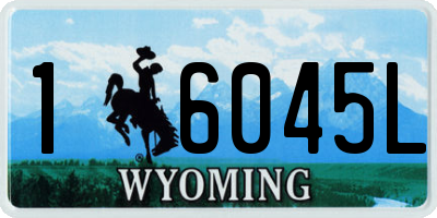 WY license plate 16045L