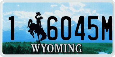 WY license plate 16045M