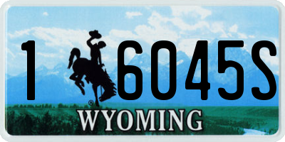 WY license plate 16045S